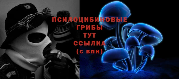 стаф Абдулино