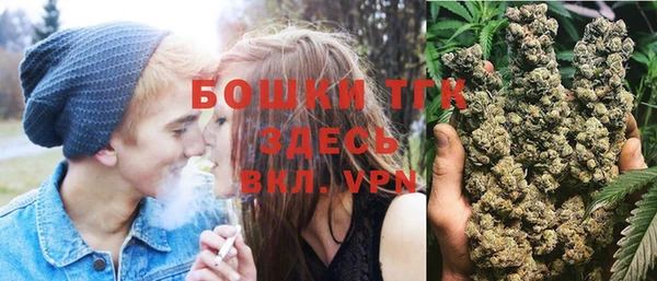 дмт Алексин