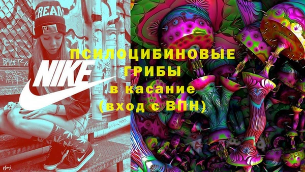 стафф Ступино