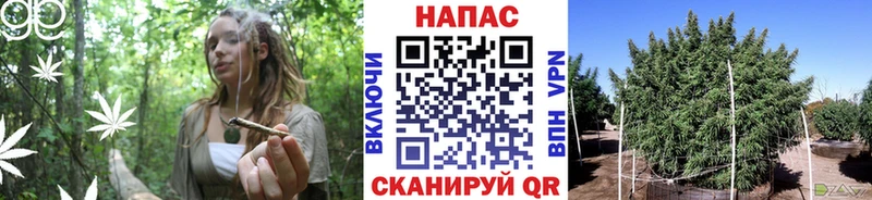 Шишки марихуана Bruce Banner  Серпухов 